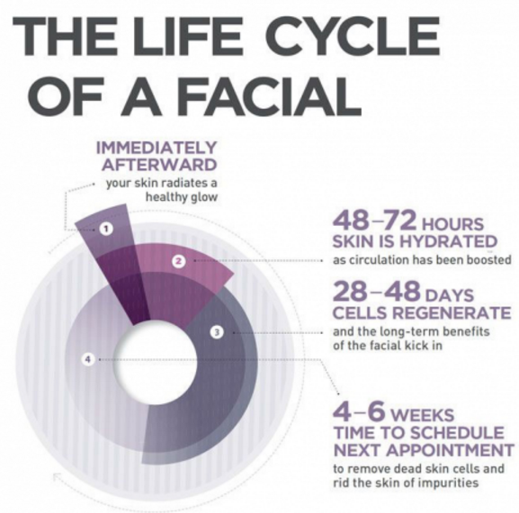 life cycle of the facial